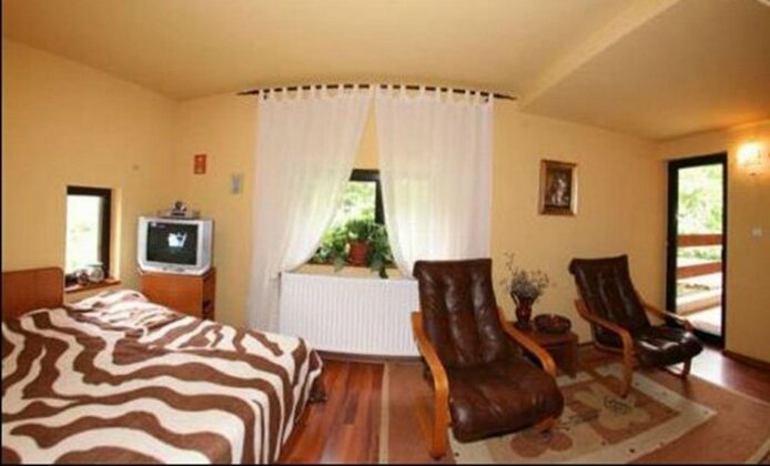 Pensiunea Clarina - Photo5