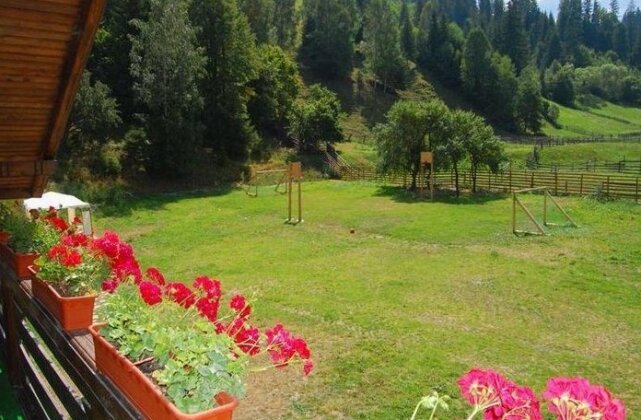 Pension Pietrele Doamnei - Photo4