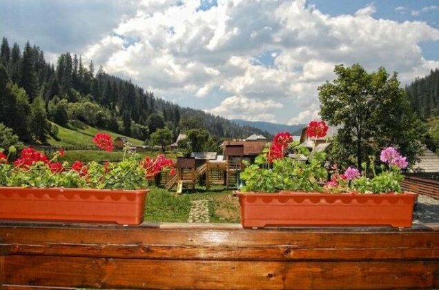 Pension Pietrele Doamnei - Photo5