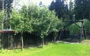 Pensiunea Margaritar - Photo2