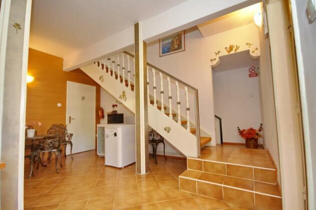 Pensiunea Safir - Photo2