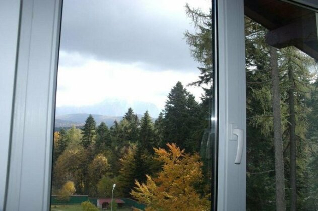 Vila Edelweiss Predeal - Photo2