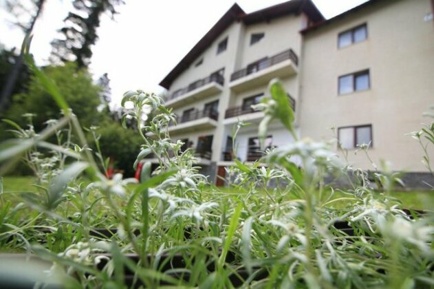 Vila Edelweiss Predeal - Photo5