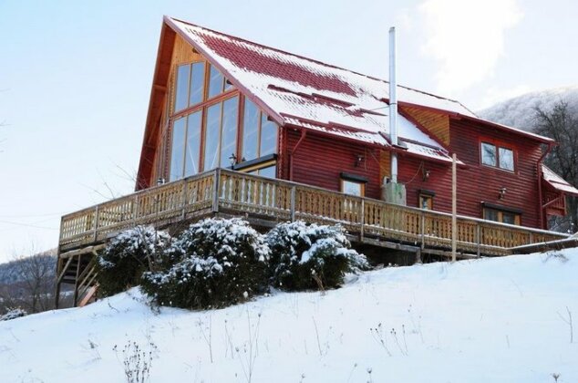 Carpathian Log Home - Photo2