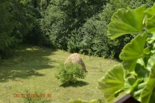 Pensiunea Pinul - Photo3