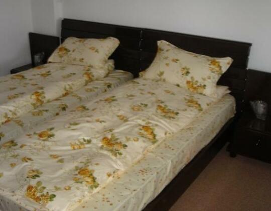 Pension Valea Mariei - Photo2