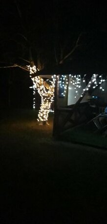 Casa Stely - Photo3