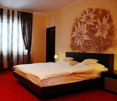 Complex Turistic Max International Hotel Rasnov - Photo5