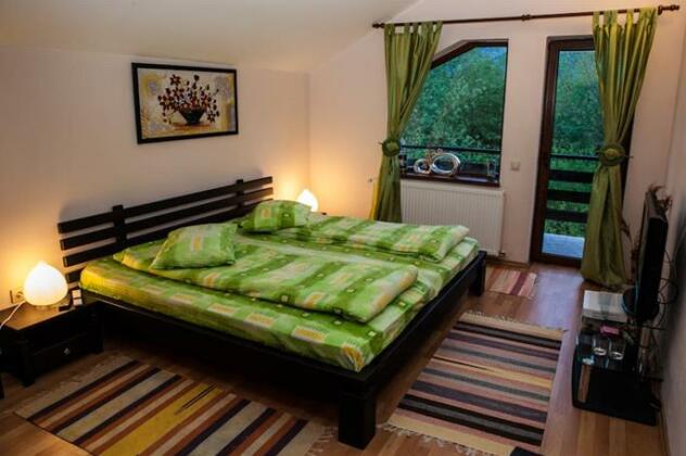 Pensiunea Doua Rauri Bran - Photo3