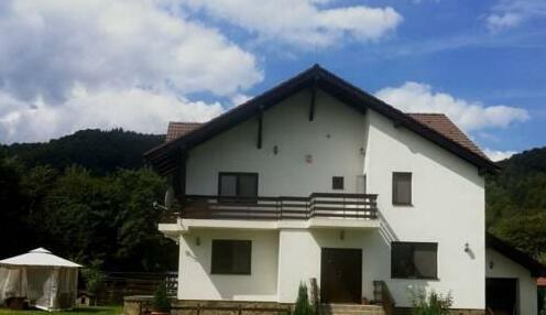 Pensiunea Vila Peisaj - Photo2