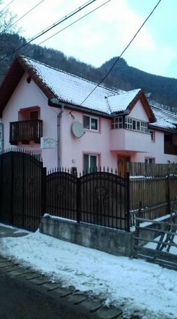 Pensiunea Maria Rau Sadului - Photo2