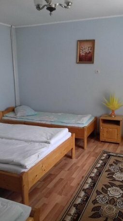 Pensiunea Maria Rau Sadului - Photo3