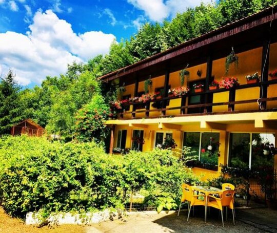 House In The Woods Resita - Photo2