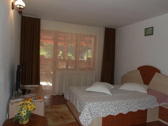 Pensiunea Pappacabana - Photo5