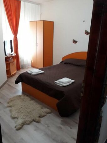 Pensiunea Scarisoara Rucar - Photo2