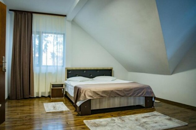 Rustic House Rucar - Photo3