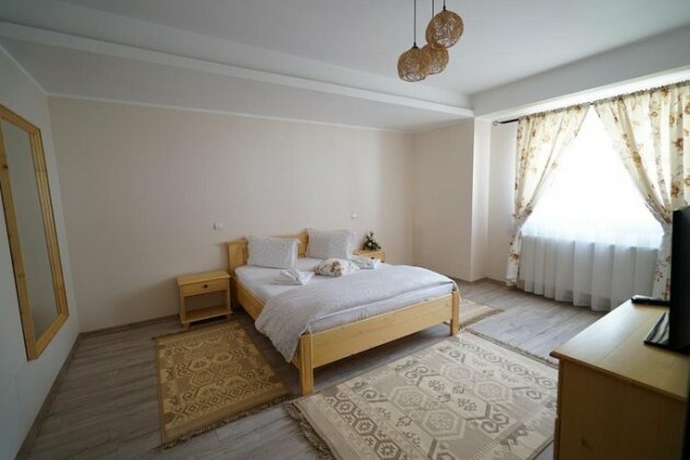 Casa Bunicii Sacel - Photo5