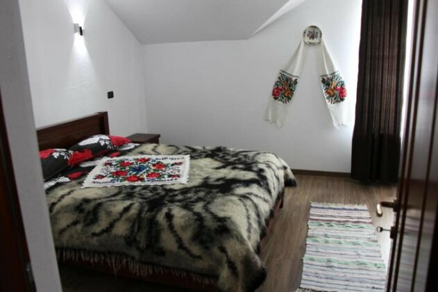 Casa Ivascu Moisei - Photo2