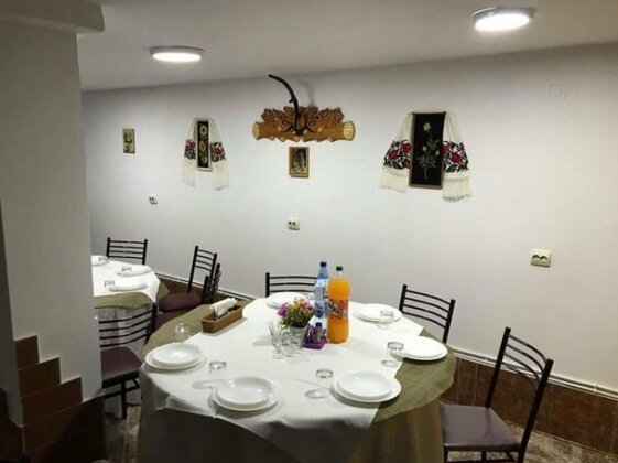 Pensiunea Alinuta - Photo3