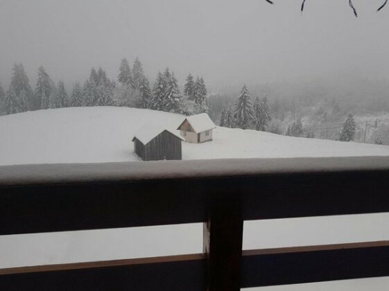 Tulean Cabin - Photo5