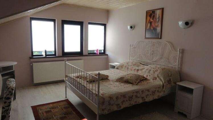 Vila Europa Sarata Monteoru - Photo2