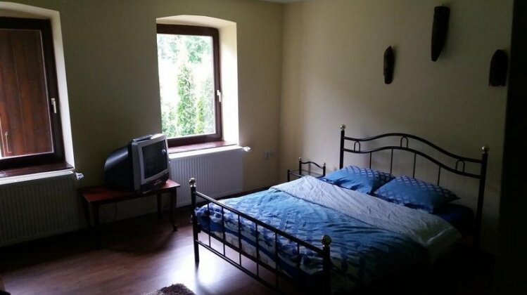Casa Sasca Montana - Photo5