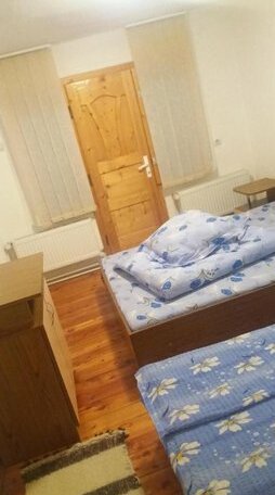 Pensiunea Miesca - Photo3