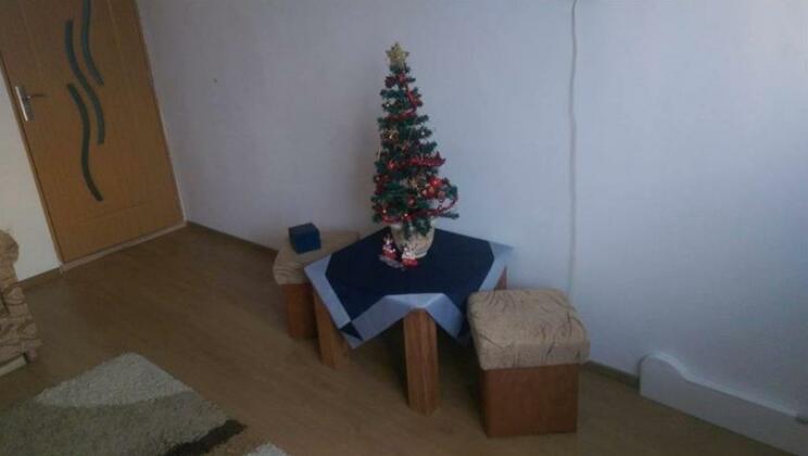 Morning Star - Photo4