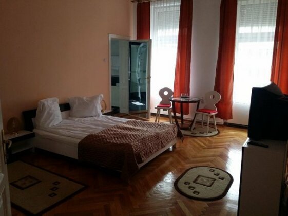 Pensiunea Anda Sibiu - Photo4