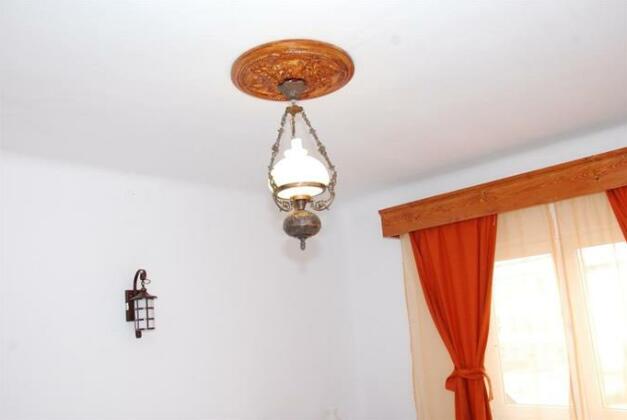 Vila Nicoleta - Photo3