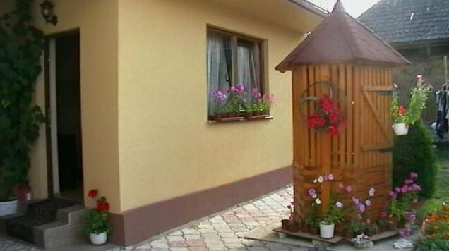 Pensiunea Georgiana - Photo2
