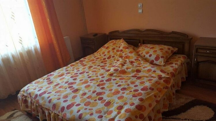 Pensiunea Popan - Photo4