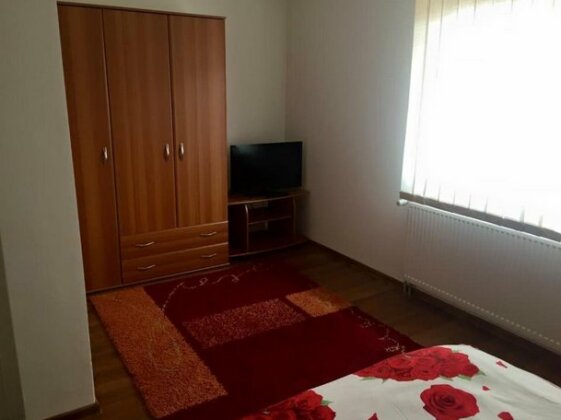 Pensiunea Sasu - Photo5