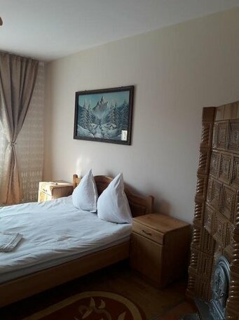 Pensiunea Todorica Sergiu - Photo3