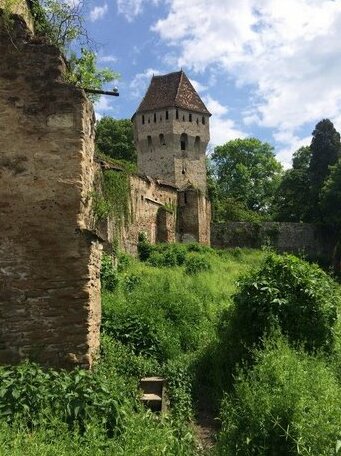 Pension am Schneiderturm - Photo2