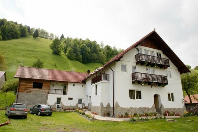 Casa Voinescu - Photo2
