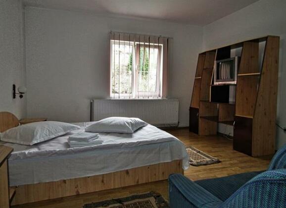 Casa Voinescu - Photo5