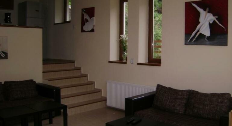 Pensiunea Anotimpuri Sinaia - Photo2