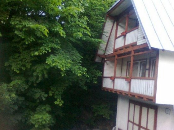 Pensiunea Valea Iancului SINAIA - Photo2