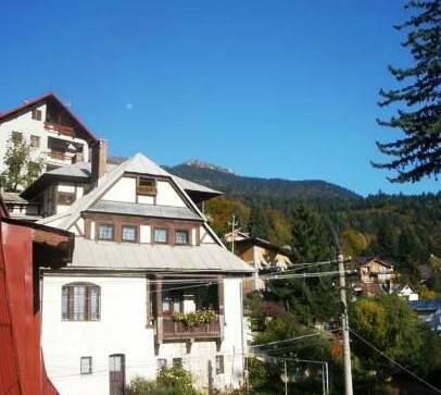Vila Felix Sinaia - Photo4