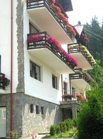 Vila Lupilor - Photo4