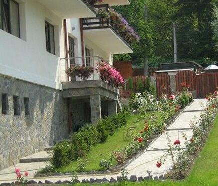 Vila Lupilor - Photo5