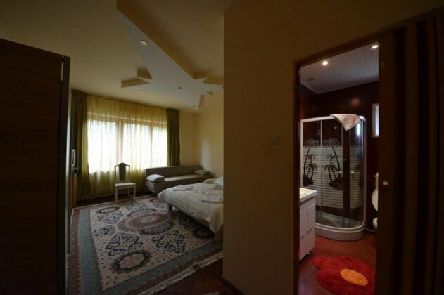 Casa Camelia Sovata - Photo4