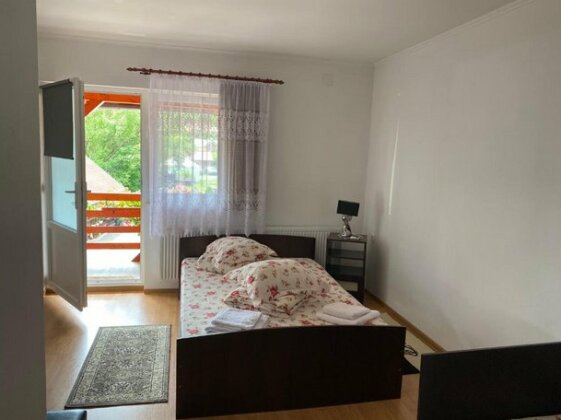 Casa Gabriela Sovata - Photo4