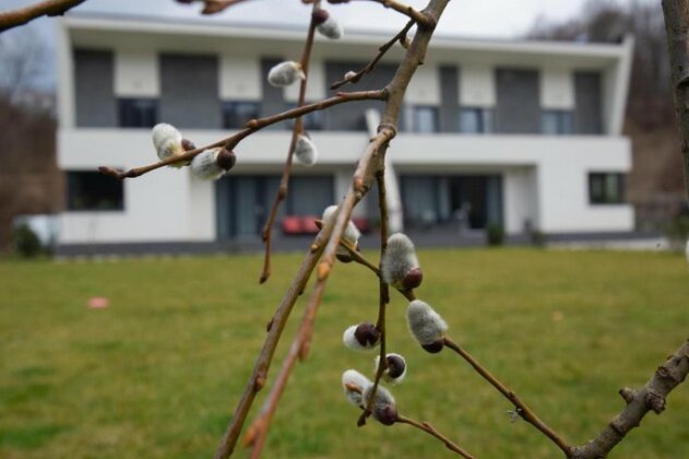 Casa Nagy - Photo3