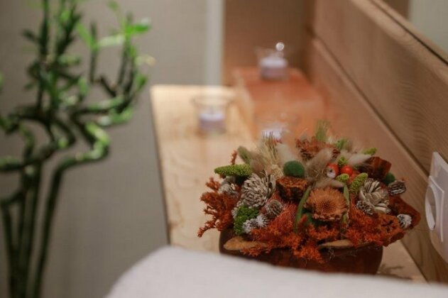 Hotel Muresul Health Spa - Photo2