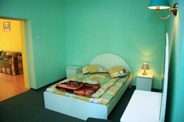Vila Maria Hotel Sovata - Photo4