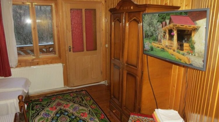 Pensiunea Poiana de Vis - Photo3
