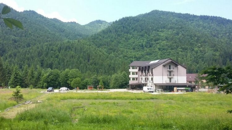 Pensiunea Poiana Soarelui Tarcau - Photo3