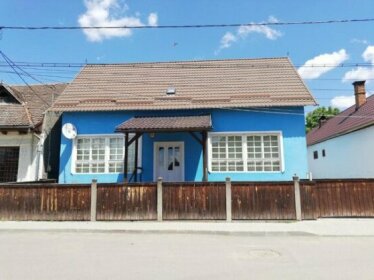 Blue House Targu Secuiesc